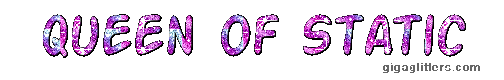 Queen of Static Banner